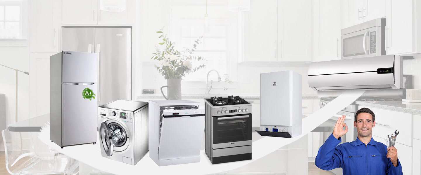 Menderes Grundig Servisi